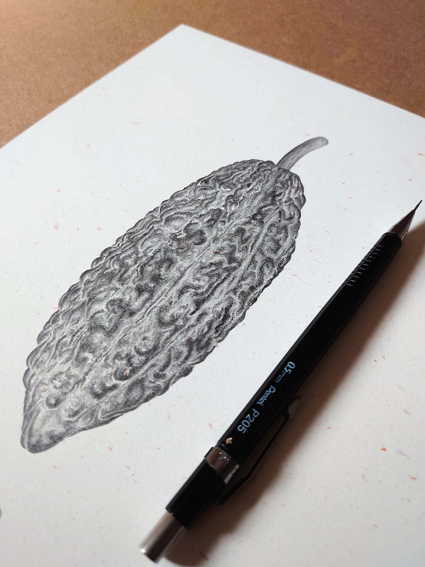 Cacao