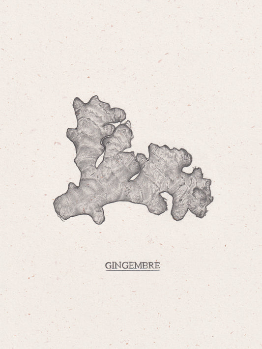 Gingembre